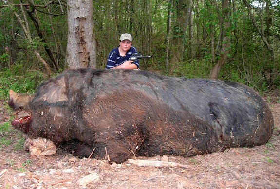 Monster Pig