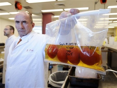 Tomatoes Salmonella