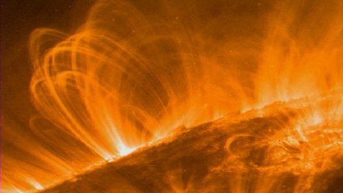 thesun