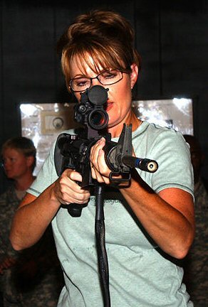 sarah palin iraq