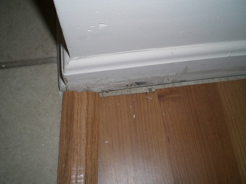 hallway2
