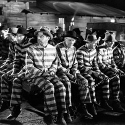 MSNBC claims a large percentage of call centers are staffed by prison inmates