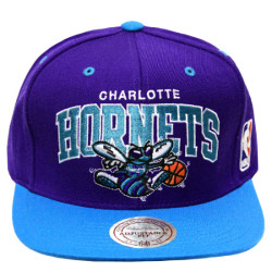 The Charlotte Bobcats to become the Charlotte Hornets