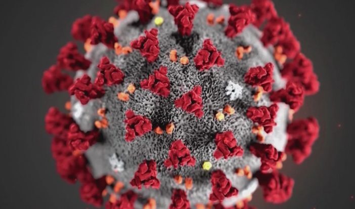 The coronavirus has made landfall in the United States - Bent Corner