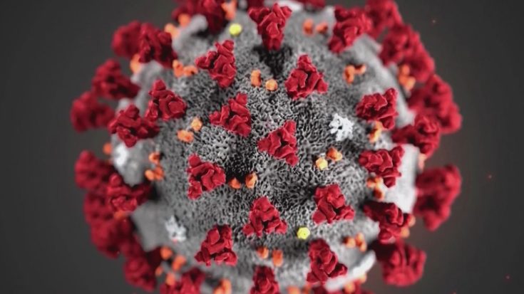 The coronavirus has made landfall in the United States - Bent Corner